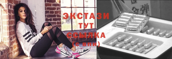 крисы Надым