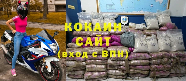 крисы Надым