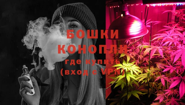 ПСИЛОЦИБИНОВЫЕ ГРИБЫ Ельня