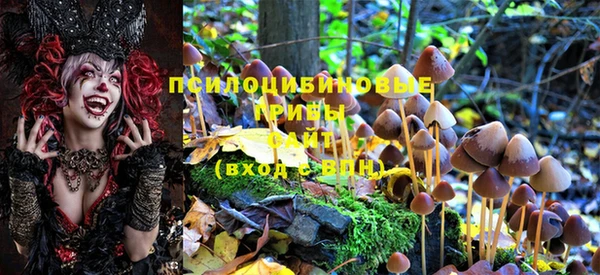 стафф Нефтегорск