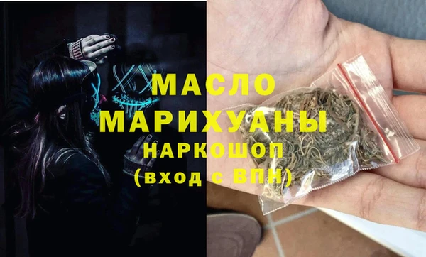 крисы Надым