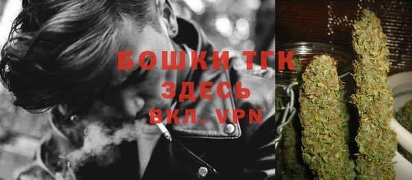 ГАЛЛЮЦИНОГЕННЫЕ ГРИБЫ Нея