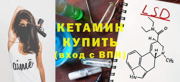 крисы Надым