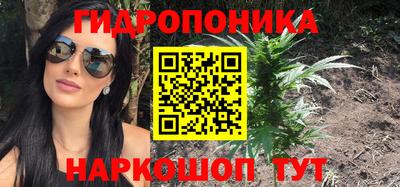 бутират Кингисепп