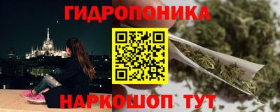 бутират Кингисепп
