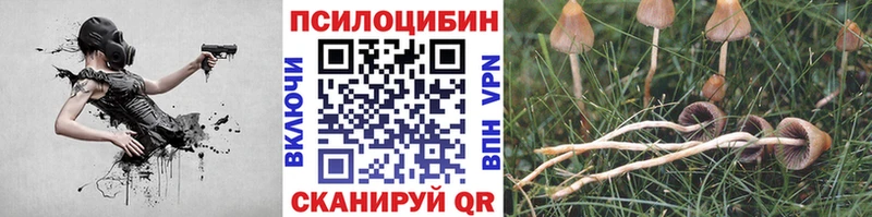 магазин  наркотиков  MEGA tor  Псилоцибиновые грибы мухоморы  Муравленко 