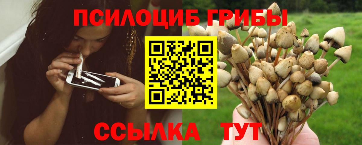 Псилоцибиновые грибы мухоморы  Вход с VPN  Муравленко 
