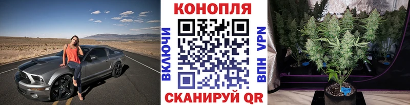 наркотики  Муравленко  Каннабис план 